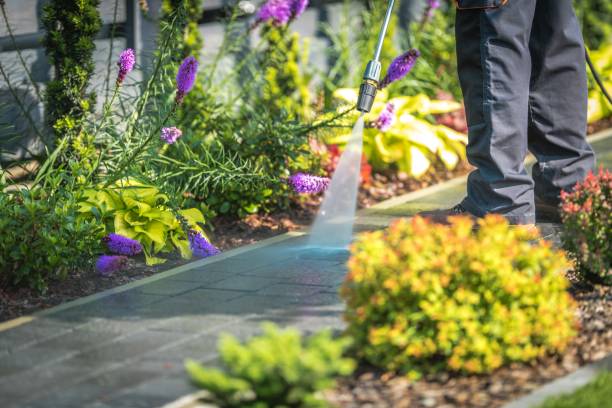 Best Sidewalk and Walkway Cleaning  in Hilmar Irwin, CA